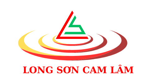 CÔNG TY TNHH BÊ TÔNG LONG SƠN CAM LÂM